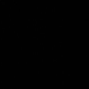 Meet your Posher, Blair